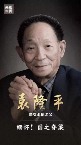 緬懷國之脊梁袁隆平68.png