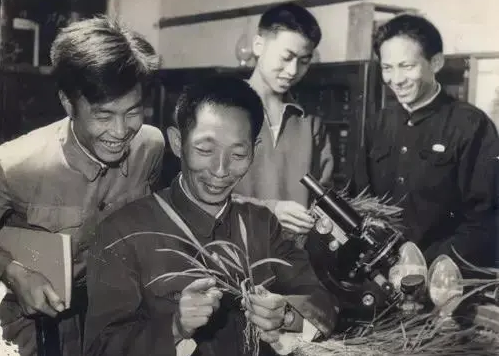 緬懷國之脊梁袁隆平357.png